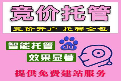 案例对比：不同竞价广告平台的优劣